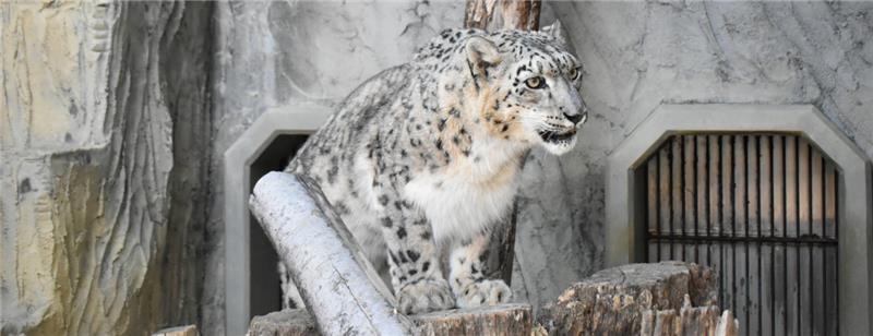 Higashiyama Zoo and Botanical Gardens